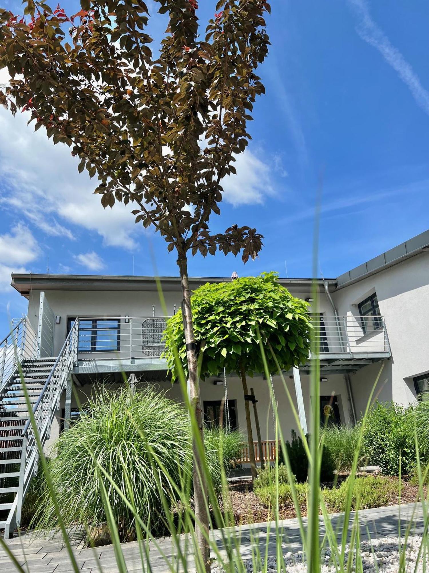 Apartmany Benesov Benesov nad Ploucnici Exteriör bild