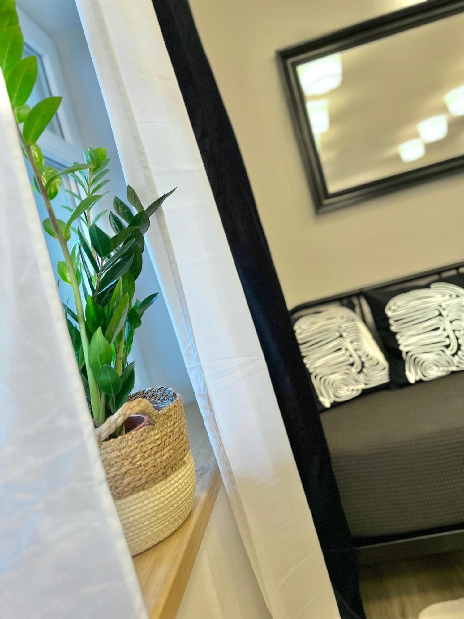 Apartmany Benesov Benesov nad Ploucnici Exteriör bild