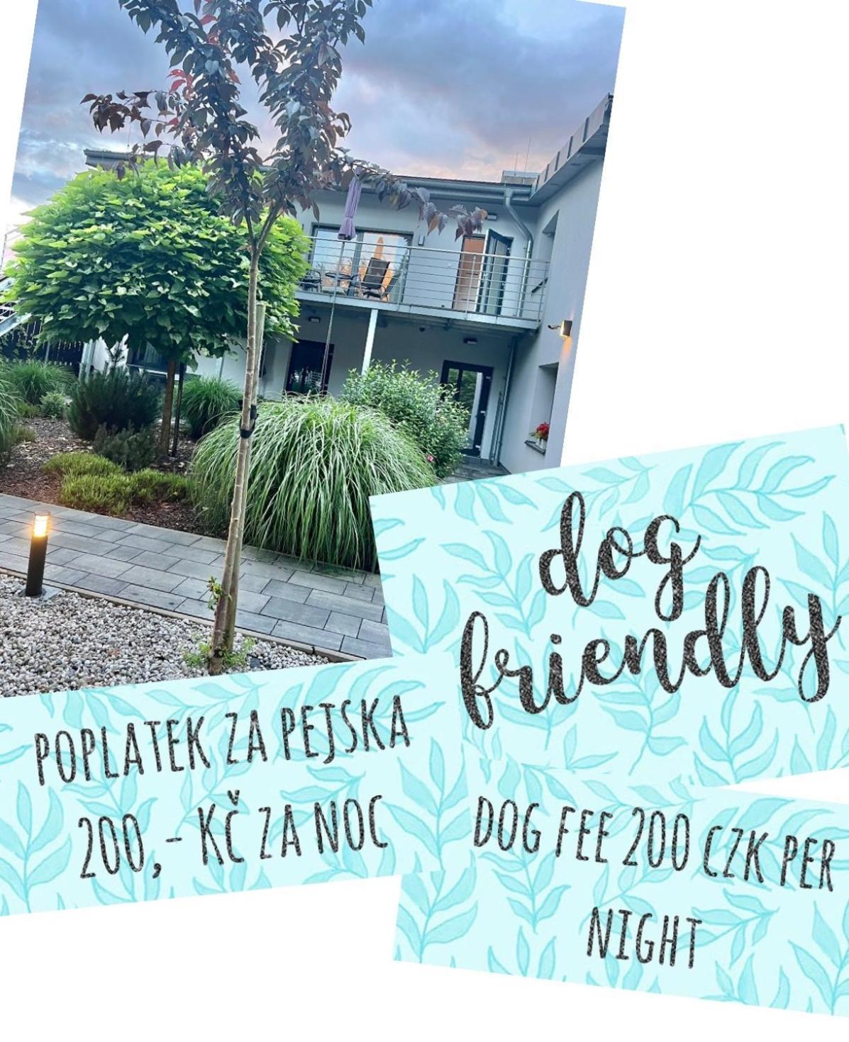 Apartmany Benesov Benesov nad Ploucnici Exteriör bild